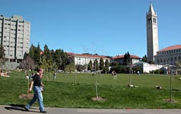 Image of Memorial Glade